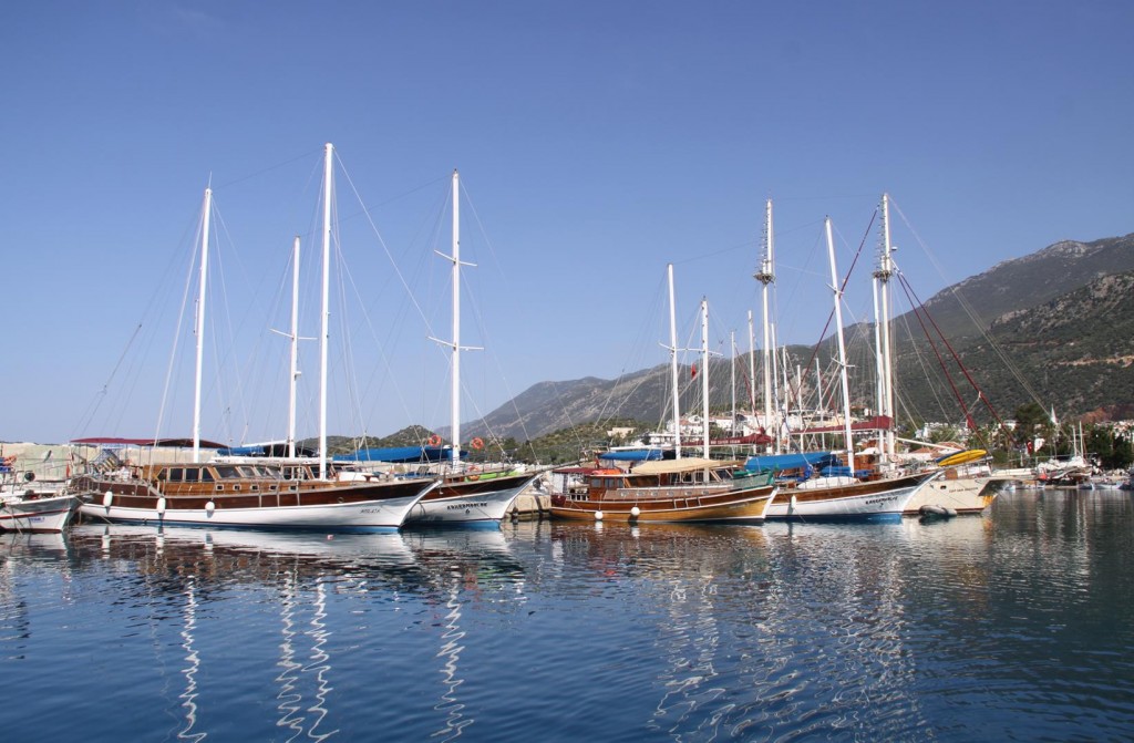Our Neighbours in Kas Port