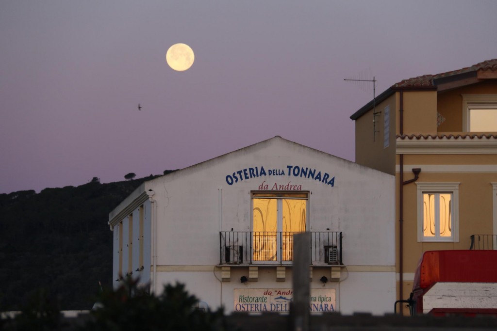 Directly behind the marina, the full moon sat poised over the restaurant we enjoyed the other evening 