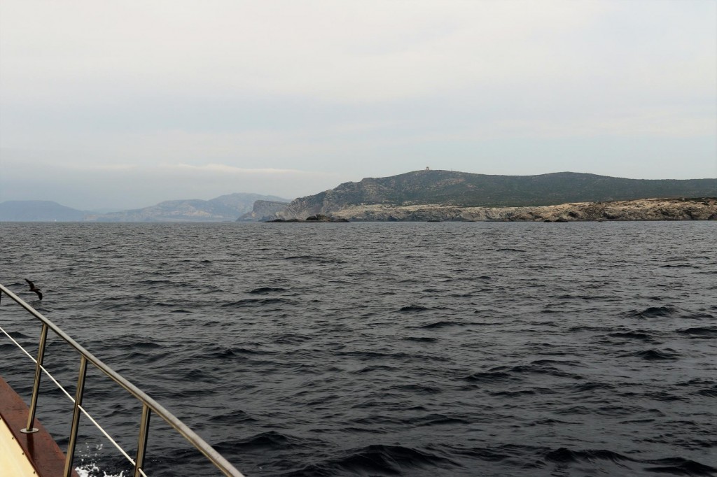 urther up the coast we past Cape Mannu and then head for Punta Scoglietti