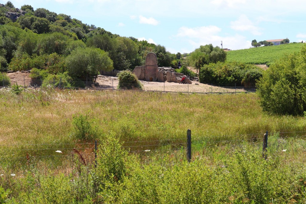 The site can be seen from the distance and is bordered by a large vineyard